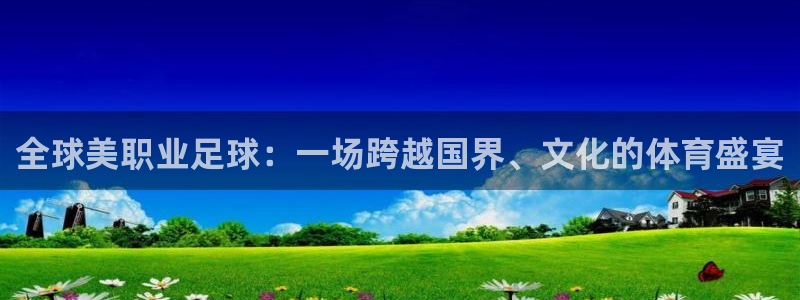 全球美职业足球：一场跨越国界、文化的体育盛宴